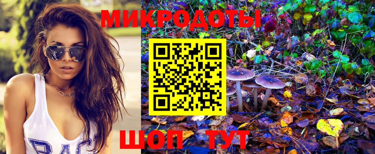 Псилоцибиновые грибы Cubensis  Вход с VPN  Тихорецк 